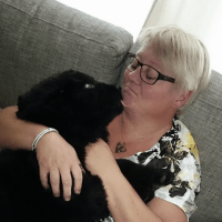 Aviary Photo_130942306267376083