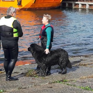 242914756_2650730375232700_3136214297990735475_n