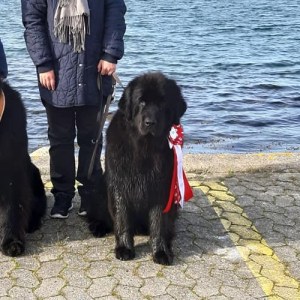 243042624_2650730665232671_2119512228397208642_n