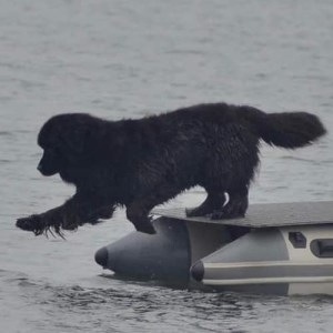 296133039_2855511911421211_5673417458634555809_n