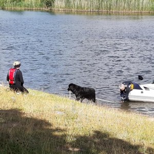 297801004_2862419407397128_512308512483889885_n