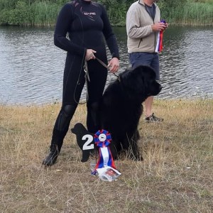 297940089_2862420290730373_4779955926490009261_n