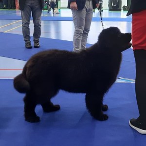 336676564_213499424669809_4370739389025100204_n