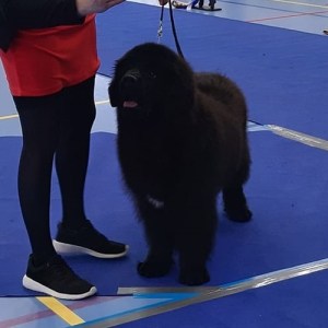 336767382_975315096962398_754888063823108446_n