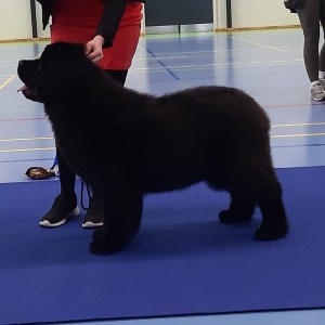 336787044_217973900904234_8534594945976388181_n