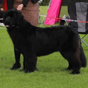 362296685_737037838222198_2632185140407757232_n