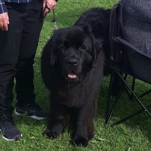 368365336_750231433569505_6125767002327949256_n