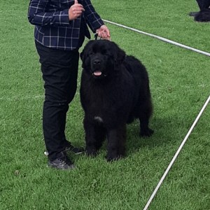 368453702_750232293569419_6523315093766208900_n