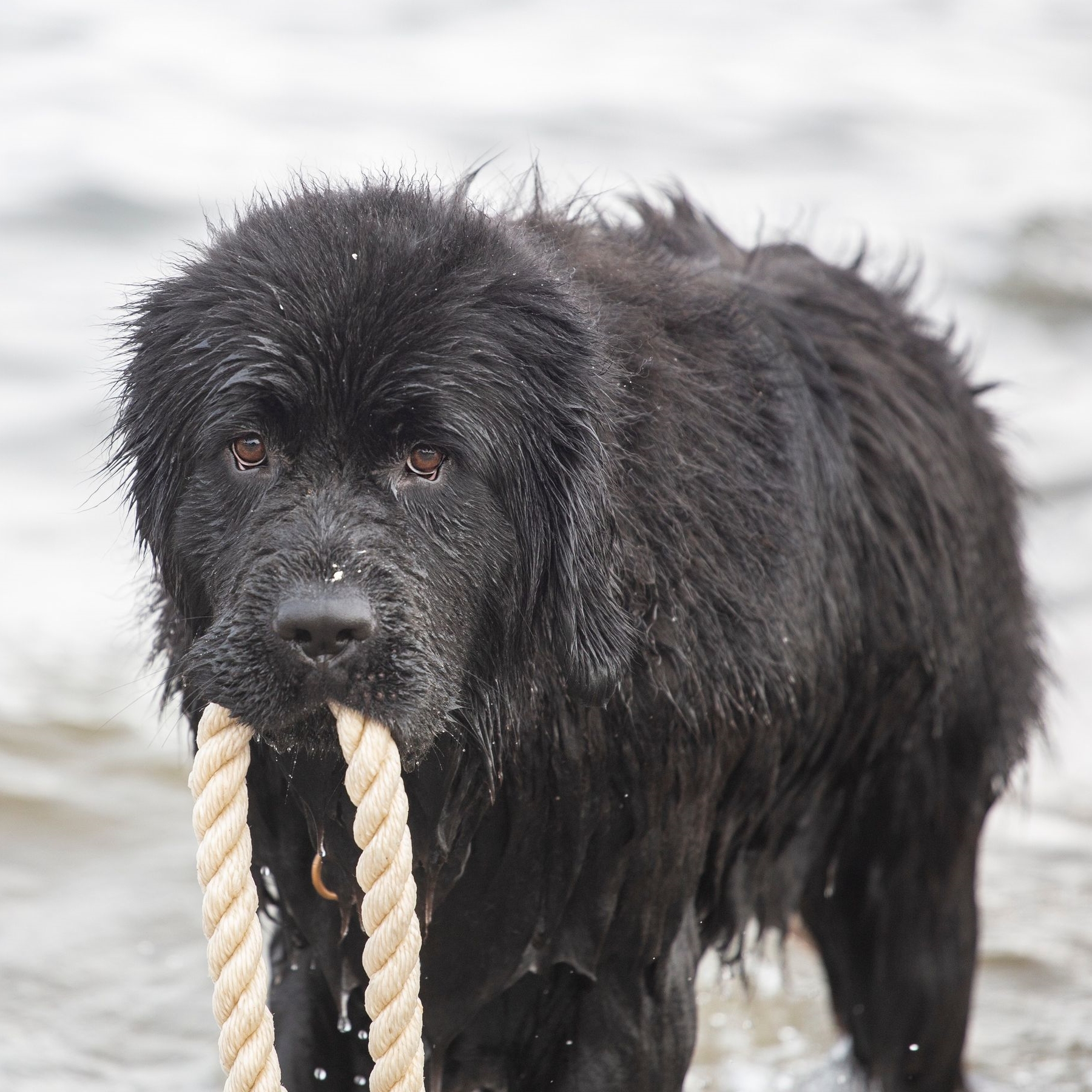 381064307_182265634894684_7371561243696086240_n