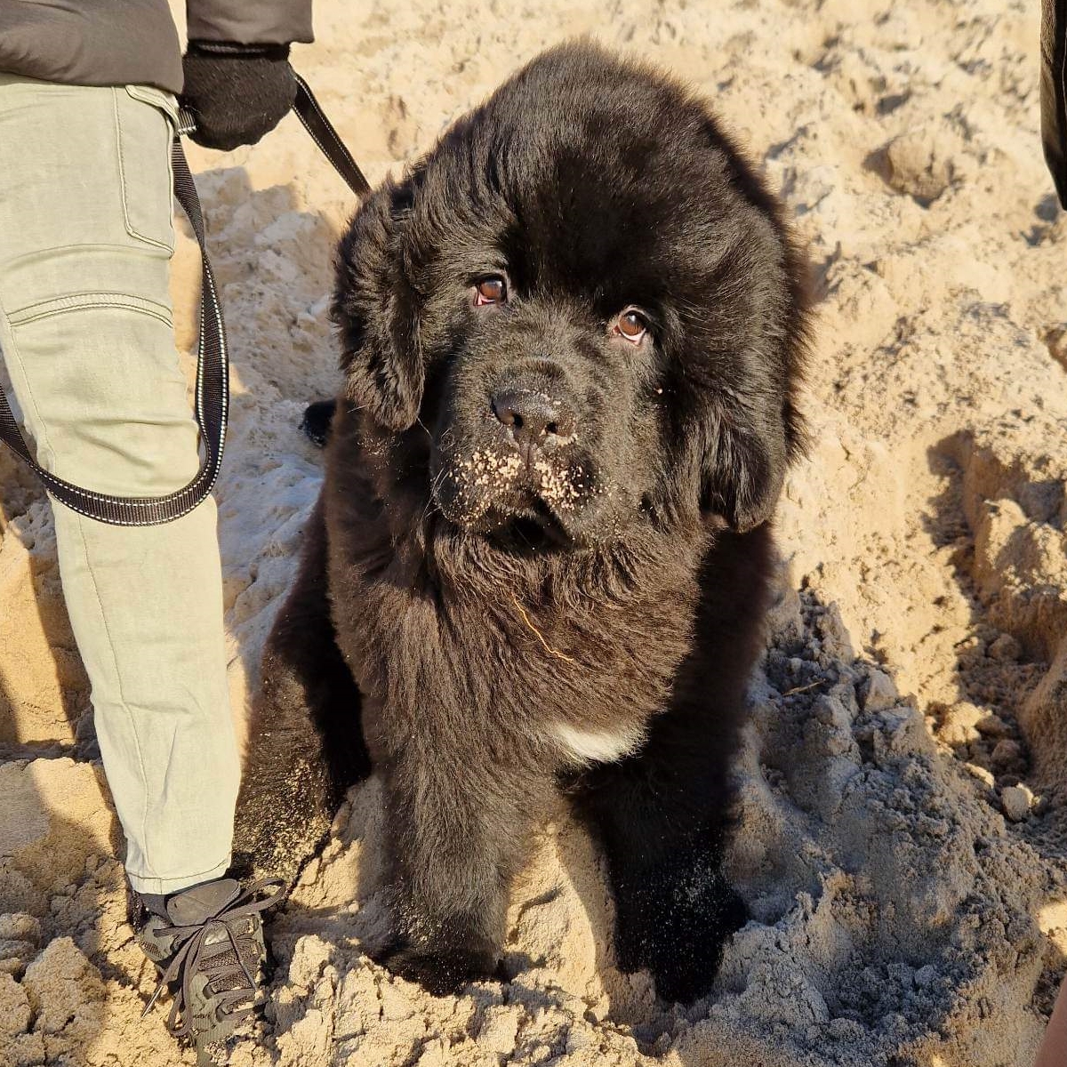 received_592809596177059