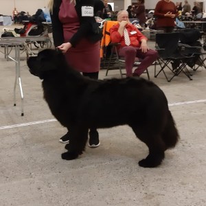 401097491_794255849167063_8653668298260108918_n