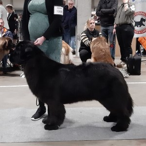 427957387_845800944012553_7076281822714967121_n