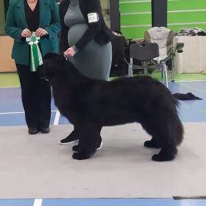 434159636_868303301762317_354783235777812654_n