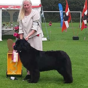 453216990_942948617631118_1787377956574598272_n